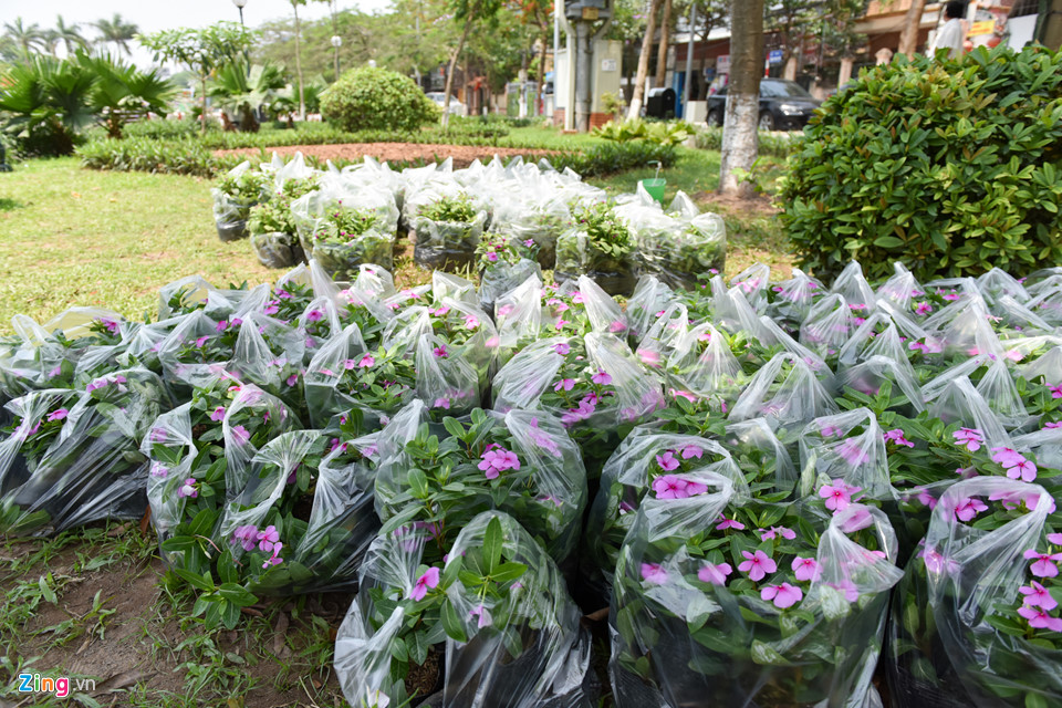 Phố đi bộ Trịnh Công Sơn ở Hà Nội sắp hoàn thành